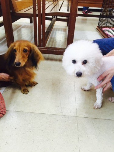 ファイル 2015-09-06 16 49 58