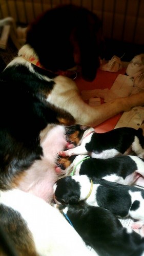 ファイル 2015-09-11 19 25 00