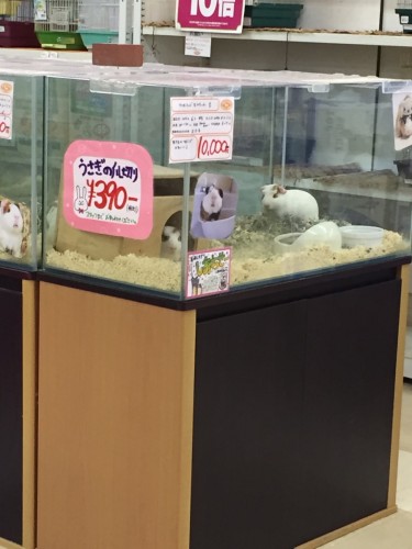 写真 2015-10-10 19 57 41