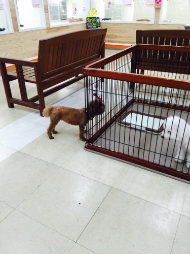 写真 2015-09-30 14 36 30