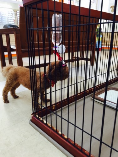 写真 2015-09-30 14 36 34