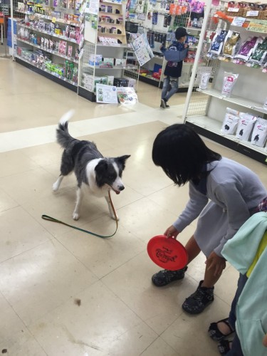 ファイル 2015-10-25 20 03 33