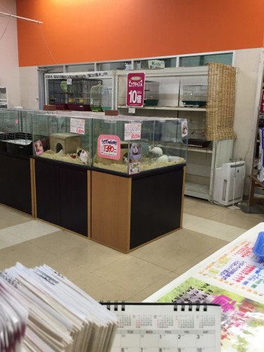 写真 2015-10-10 19 57 37