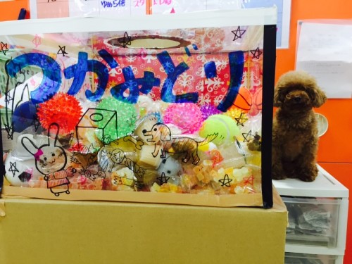 写真 2015-10-21 15 23 04