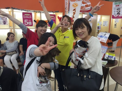 ファイル 2015-10-25 20 04 45