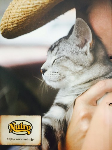 ファイル 2015-10-08 21 38 11