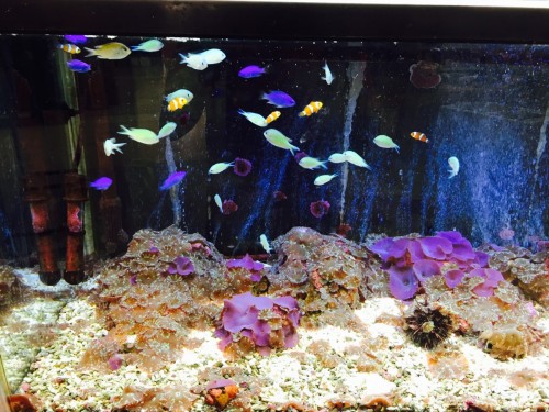 ファイル 2015-10-14 18 15 45