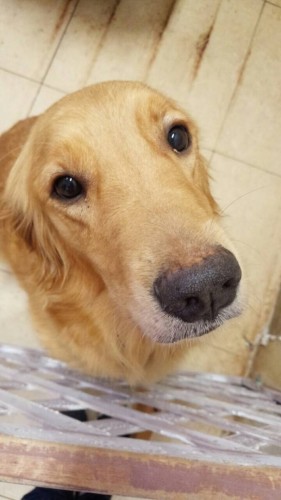 ファイル 2015-10-18 19 49 55