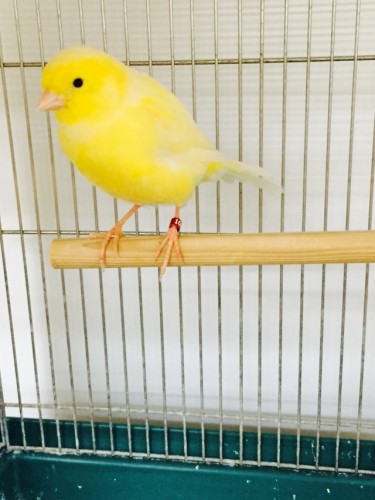 写真 2015-10-31 14 30 06