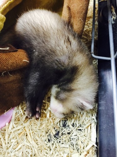 写真 2015-10-29 19 04 45