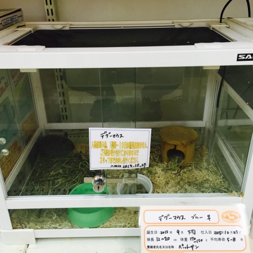 ファイル 2015-10-29 16 35 56