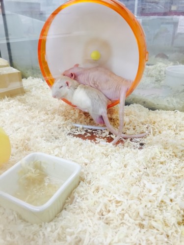 写真 2015-10-14 18 30 08