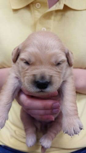 ファイル 2015-10-18 19 49 10