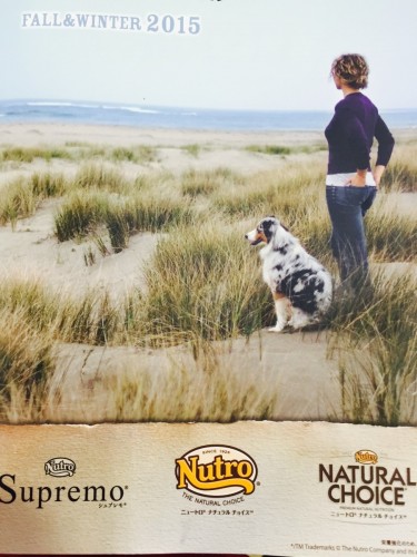 ファイル 2015-10-08 21 38 48