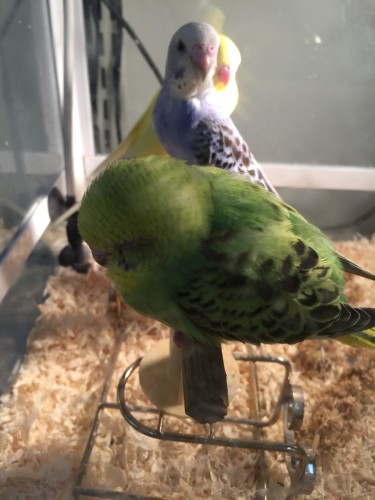 写真 2015-11-05 16 43 12