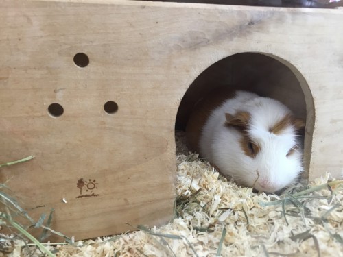 ファイル 2015-11-04 19 41 55