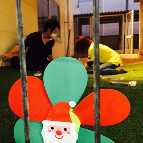 写真 2015-11-19 17 26 26