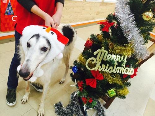 ファイル 2015-11-28 18 21 26