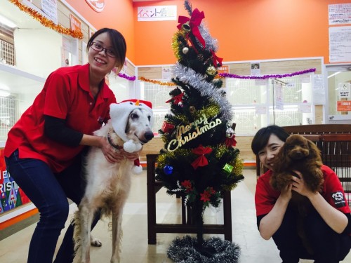 ファイル 2015-11-28 18 20 37