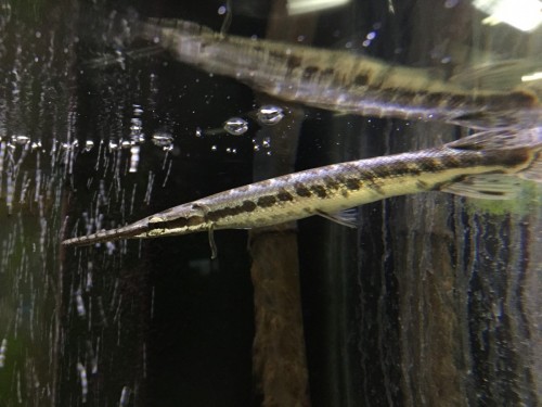 写真 2015-11-07 14 20 54