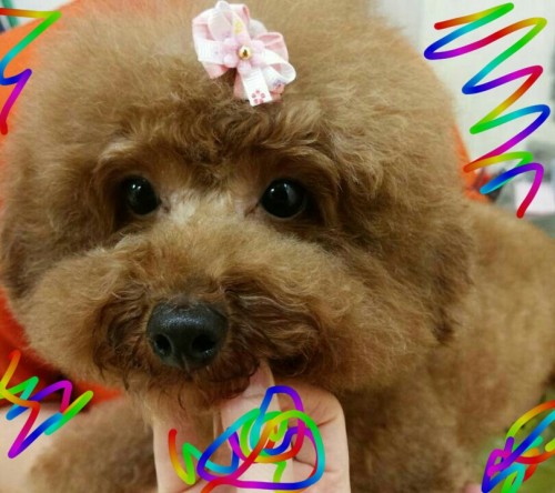 sketch-1448033119012