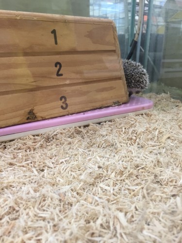 写真 2015-12-17 12 50 57