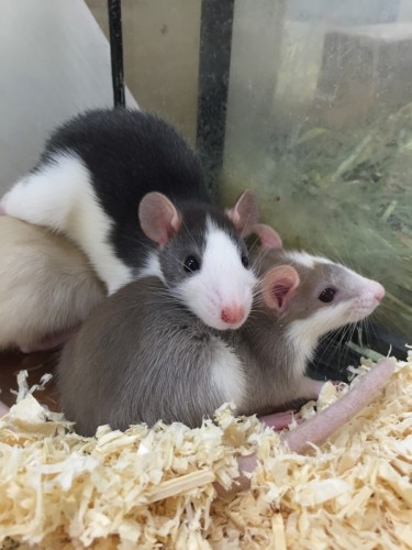 写真 2015-12-22 15 27 15