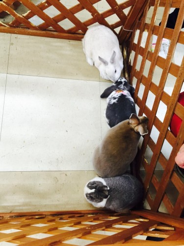 ファイル 2015-12-13 19 51 57