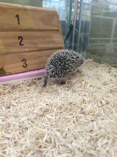 写真 2015-12-17 12 50 53