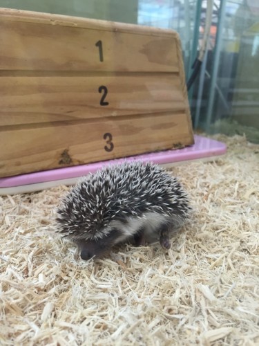 写真 2015-12-17 12 50 43