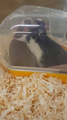 写真 2015-12-22 15 25 35