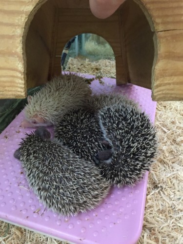 写真 2015-12-17 12 49 55