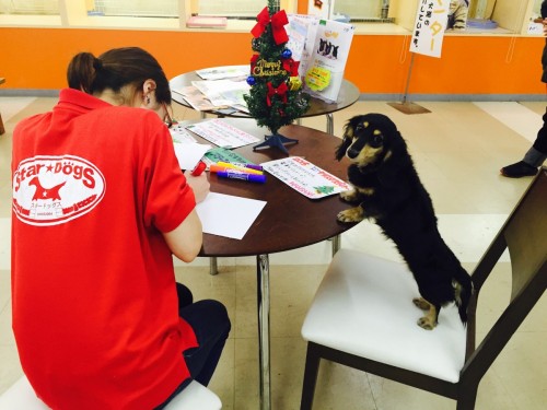 ファイル 2015-12-04 19 03 01