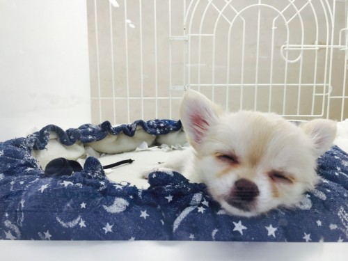 ファイル 2015-12-10 21 20 50