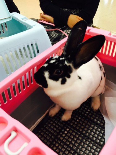 ファイル 2015-12-13 19 50 46