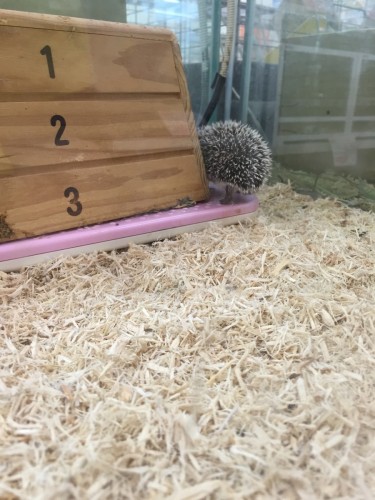 写真 2015-12-17 12 50 55