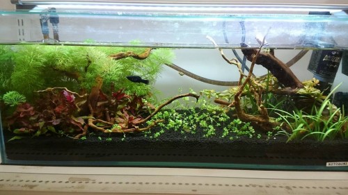 写真 2015-12-08 11 08 35