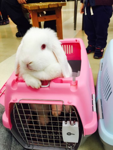 ファイル 2015-12-13 19 50 19