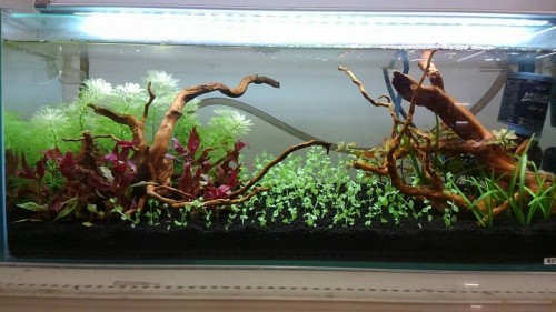 写真 2015-12-08 11 08 32