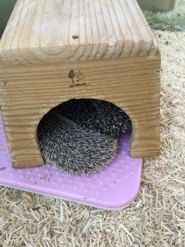 写真 2015-12-17 12 49 46