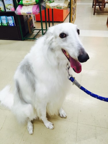 ファイル 2015-12-01 23 01 27