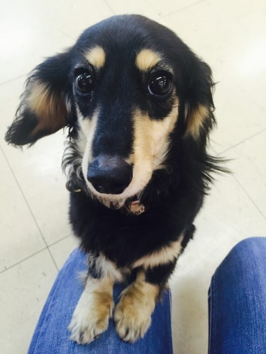 ファイル 2015-12-04 19 01 52