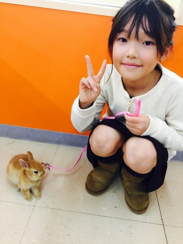 ファイル 2015-12-13 19 51 23