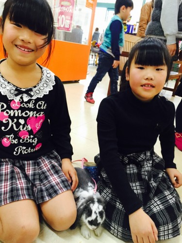 ファイル 2015-12-13 19 49 34