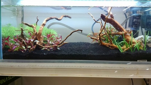 写真 2015-12-08 11 08 27