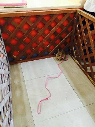 ファイル 2015-12-13 19 52 14