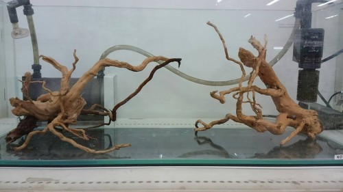 写真 2015-12-08 11 08 23