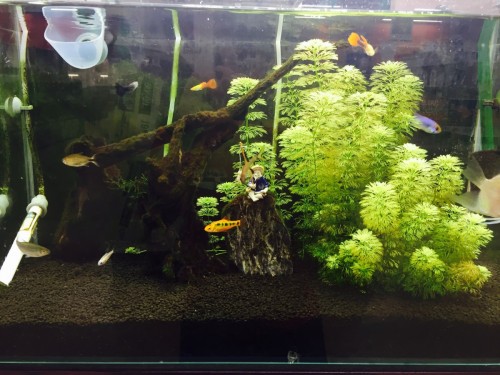 ファイル 2016-01-31 18 58 13