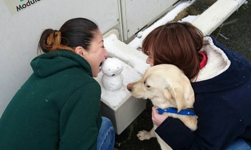 ファイル 2016-01-24 15 37 04