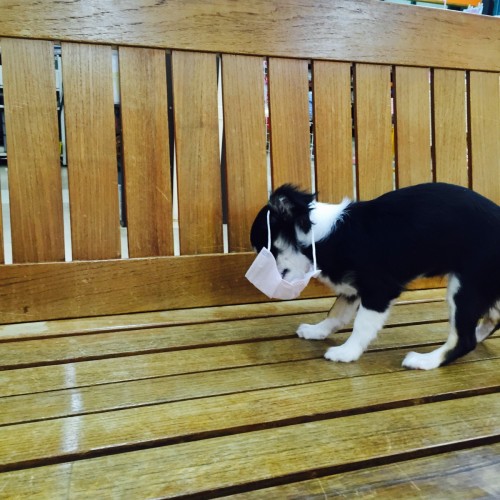 ファイル 2016-01-21 19 42 58